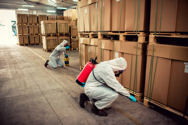 Best Local Pest Control Services  in Humboldt, IA