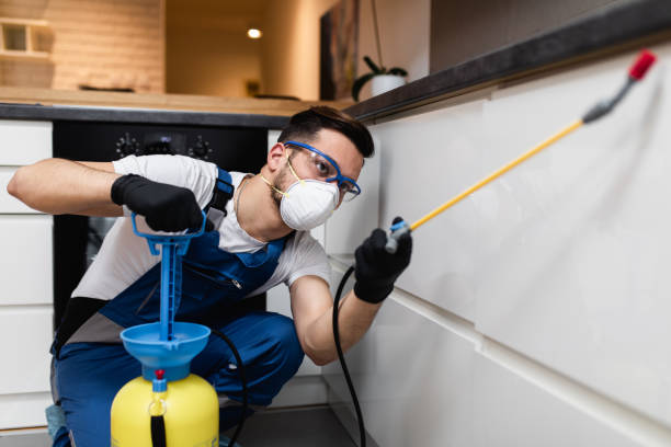 Best Mosquito Control Services  in Humboldt, IA