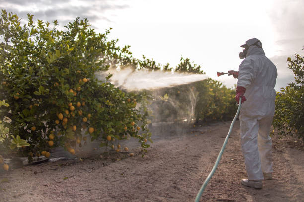 Reliable Humboldt, IA Pest Control Solutions