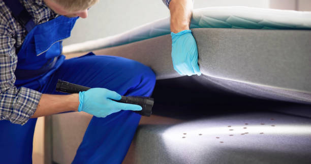 Best Best Pest Control Companies  in Humboldt, IA