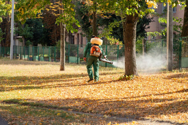 Best Pest Control for Homes  in Humboldt, IA